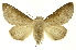  ( - INBIOCRI000342375)  @14 [ ] Copyright (2012) Juan Mata Lorenzen Unspecified
