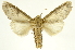 ( - INBIOCRI000360163)  @11 [ ] Copyright (2012) J. Montero INBio