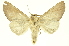  ( - INBIOCRI000376258)  @11 [ ] Copyright (2012) Juan Mata Lorenzen INBio