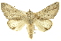  ( - INBIOCRI000379654)  @15 [ ] Copyright (2012) Juan Mata Lorenzen INBio