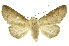  ( - INBIOCRI000379896)  @11 [ ] Copyright (2012) Juan Mata Lorenzen Unspecified