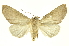  ( - INBIOCRI000379896)  @11 [ ] Copyright (2012) Juan Mata Lorenzen Unspecified