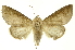  ( - INBIOCRI000379968)  @11 [ ] Copyright (2012) Juan Mata Lorenzen Unspecified