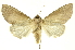  ( - INBIOCRI000379968)  @11 [ ] Copyright (2012) Juan Mata Lorenzen Unspecified