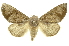  ( - INBIOCRI000388144)  @14 [ ] Copyright (2012) Juan Mata Lorenzen INBio