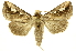  ( - INBIOCRI000428602)  @14 [ ] Copyright (2012) J. Montero INBio