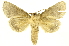 ( - INBIOCRI000434219)  @11 [ ] Copyright (2012) J. Montero INBio