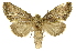  ( - INBIOCRI000439475)  @14 [ ] Copyright (2012) J. Montero INBio