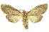  ( - INBIOCRI000439859)  @11 [ ] Copyright (2012) J. Montero INBio