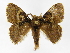  ( - INBIOCRI000461070)  @14 [ ] Copyright (2012) J. Montero Instituto Nacional de Biodiversidad