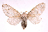  ( - INBIOCRI000493446)  @14 [ ] Copyright (2012) J. Montero Instituto Nacional de Biodiversidad