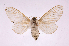  ( - INBIOCRI000493446)  @14 [ ] Copyright (2012) J. Montero Instituto Nacional de Biodiversidad