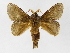  ( - INBIOCRI000493454)  @14 [ ] Copyright (2012) J. Montero Instituto Nacional de Biodiversidad