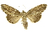  ( - INBIOCRI000514927)  @14 [ ] Copyright (2012) J. Montero INBio