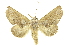  ( - INBIOCRI000526228)  @14 [ ] Copyright (2012) Juan Mata Lorenzen INBio