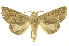  ( - INBIOCRI000530250)  @11 [ ] Copyright (2012) Juan Mata Lorenzen INBio