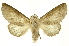 ( - INBIOCRI000532534)  @14 [ ] Copyright (2012) Juan Mata Lorenzen Unspecified