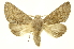  ( - INBIOCRI000541947)  @11 [ ] Copyright (2012) Juan Mata Lorenzen INBio