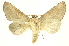  ( - INBIOCRI000541947)  @11 [ ] Copyright (2012) Juan Mata Lorenzen INBio