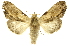  ( - INBIOCRI000542824)  @12 [ ] Copyright (2012) J. Montero INBio