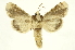  ( - INBIOCRI000552591)  @13 [ ] Copyright (2012) J. Montero INBio