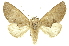  ( - INBIOCRI000554772)  @11 [ ] Copyright (2012) Juan Mata Lorenzen INBio