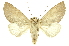  ( - INBIOCRI000554772)  @11 [ ] Copyright (2012) Juan Mata Lorenzen INBio