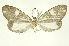  ( - INBIOCRI000566248)  @11 [ ] Copyright (2012) Juan Mata Lorenzen Unspecified