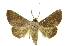  ( - INBIOCRI000575705)  @14 [ ] Copyright (2012) Juan Mata Lorenzen Unspecified