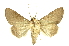  ( - INBIOCRI000575705)  @14 [ ] Copyright (2012) Juan Mata Lorenzen Unspecified