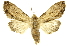  ( - INBIOCRI000579694)  @12 [ ] Copyright (2012) J. Montero INBio