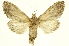 ( - INBIOCRI000579694)  @12 [ ] Copyright (2012) J. Montero INBio