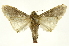  ( - INBIOCRI000599652)  @11 [ ] Copyright (2012) J. Montero INBio