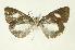  ( - INBIOCRI000610627)  @11 [ ] Copyright (2012) Juan Mata Lorenzen INBio