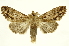  ( - INBIOCRI000617572)  @11 [ ] Copyright (2012) J. Montero INBio