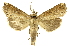  ( - INBIOCRI000618689)  @13 [ ] Copyright (2012) J. Montero INBio