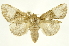  ( - INBIOCRI000625643)  @15 [ ] Copyright (2012) J. Montero INBio