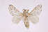  ( - INBIOCRI000678672)  @12 [ ] Copyright (2012) J. Montero Instituto Nacional de Biodiversidad