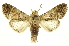  ( - INBIOCRI000694688)  @11 [ ] Copyright (2012) J. Montero INBio