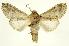  ( - INBIOCRI000694688)  @11 [ ] Copyright (2012) J. Montero INBio
