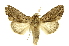 ( - INBIOCRI000694702)  @12 [ ] Copyright (2012) J. Montero INBio