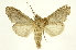  ( - INBIOCRI000694702)  @12 [ ] Copyright (2012) J. Montero INBio