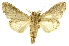  ( - INBIOCRI000694718)  @12 [ ] Copyright (2012) J. Montero INBio
