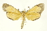  ( - INBIOCRI000696186)  @11 [ ] Copyright (2012) Juan Mata Lorenzen INBio