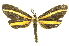  ( - INBIOCRI000697549)  @13 [ ] Copyright (2012) Juan Mata Lorenzen INBio