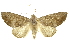 ( - INBIOCRI000697561)  @14 [ ] Copyright (2012) Juan Mata Lorenzen INBio