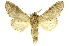  ( - INBIOCRI000707496)  @12 [ ] Copyright (2012) J. Montero INBio