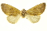  ( - INBIOCRI000707965)  @13 [ ] Copyright (2012) Juan Mata Lorenzen INBio