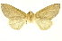  ( - INBIOCRI000707965)  @13 [ ] Copyright (2012) Juan Mata Lorenzen INBio