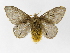  ( - INBIOCRI000729494)  @14 [ ] Copyright (2012) J. Montero Instituto Nacional de Biodiversidad